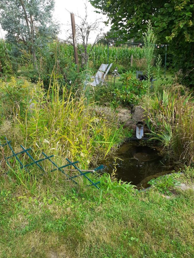 Le Gite Du Hibou Villa Menil-Hubert-sur-Orne Luaran gambar